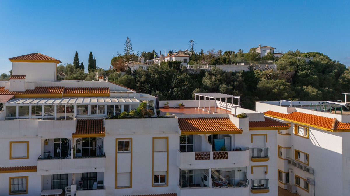 Penthouse bilde 5