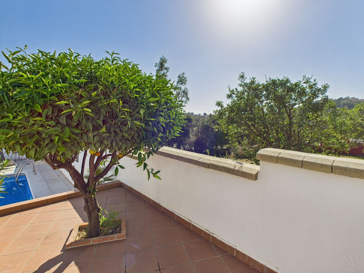 Detached Villa bilde 35