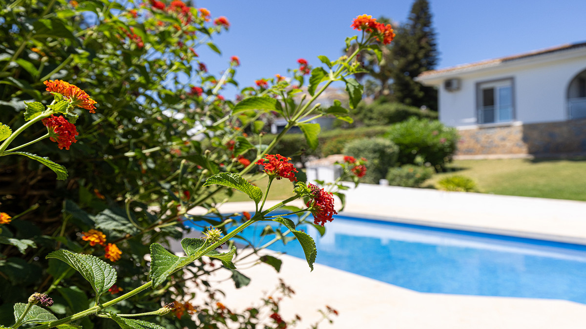 Detached Villa bilde 39