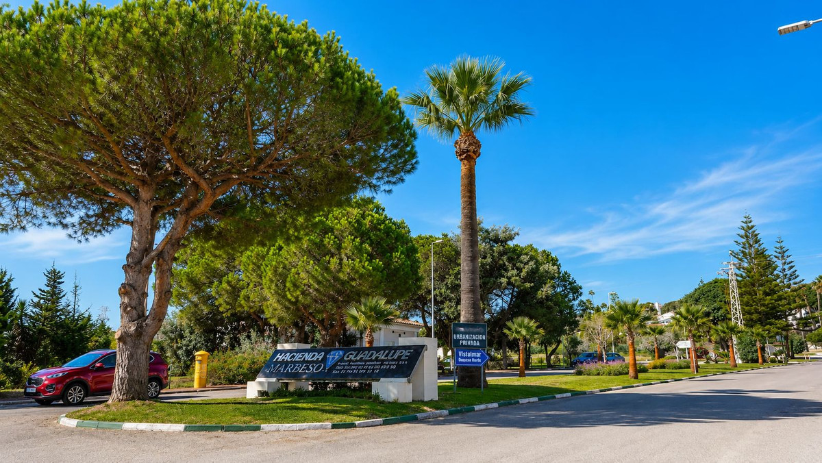 Ground Floor Apartment bilde 19