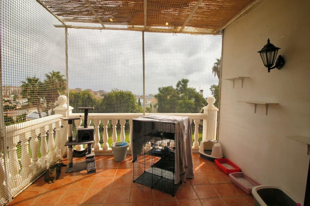 Detached Villa bilde 53