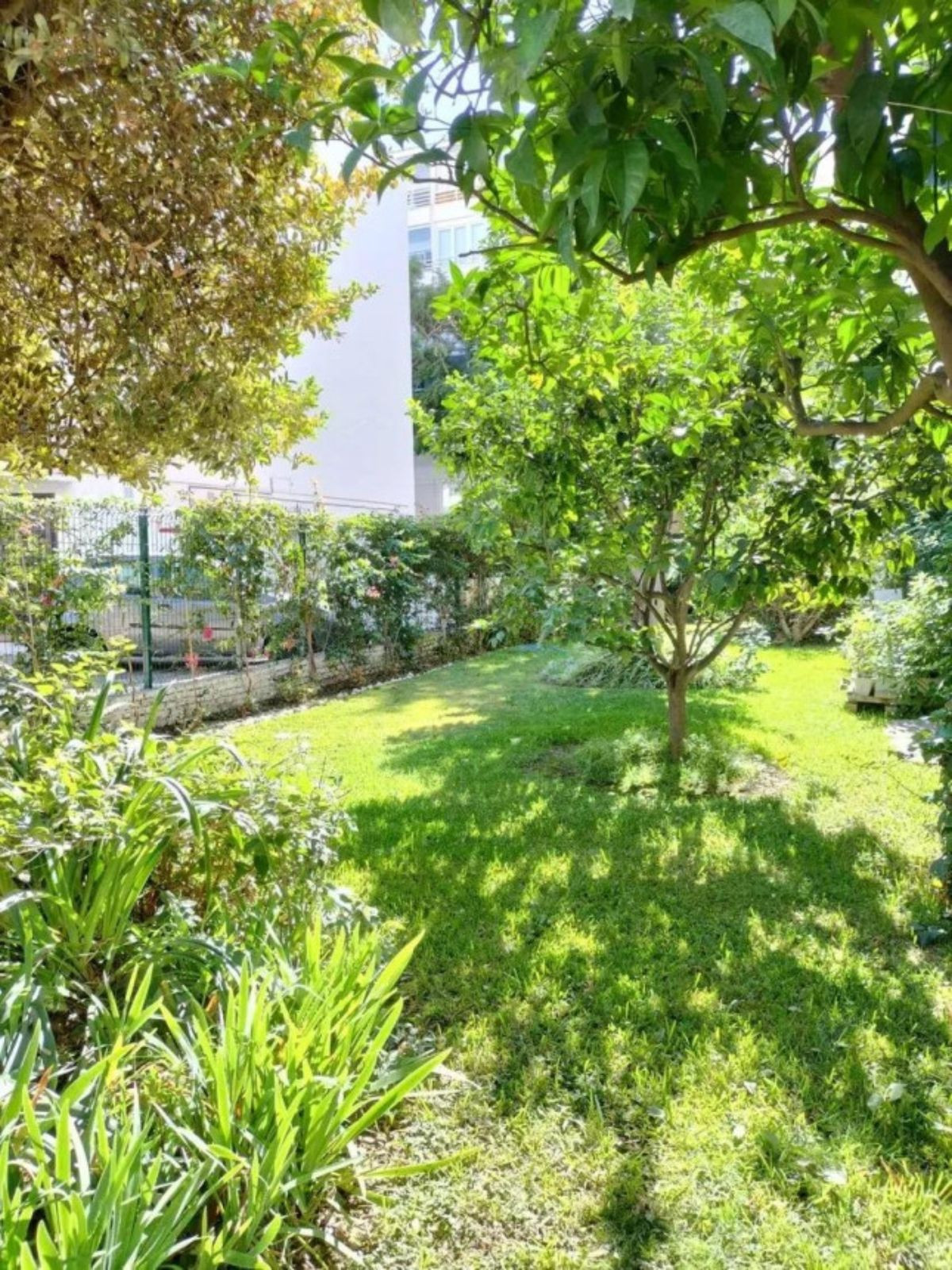 Middle Floor Apartment bilde 14