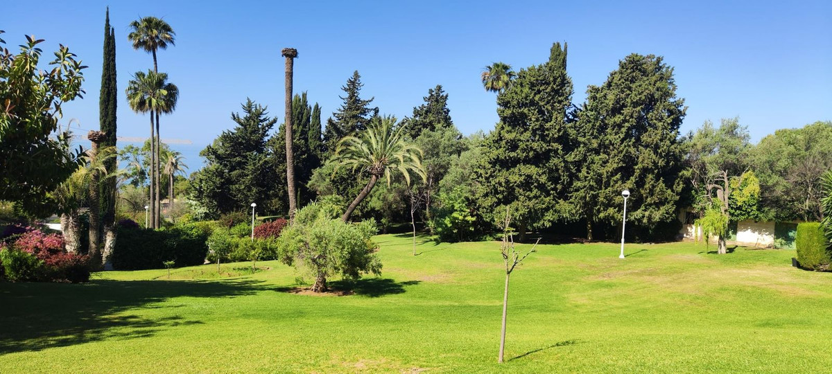 Ground Floor Apartment bilde 46